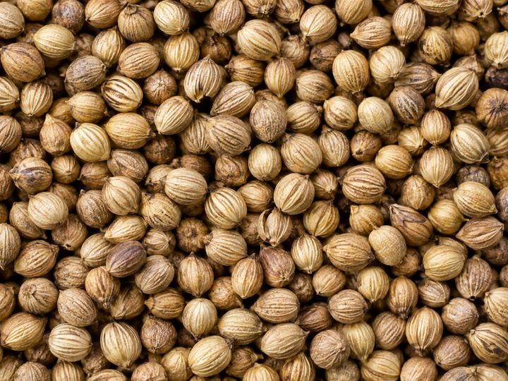 Whole coriander seeds filling the frame
