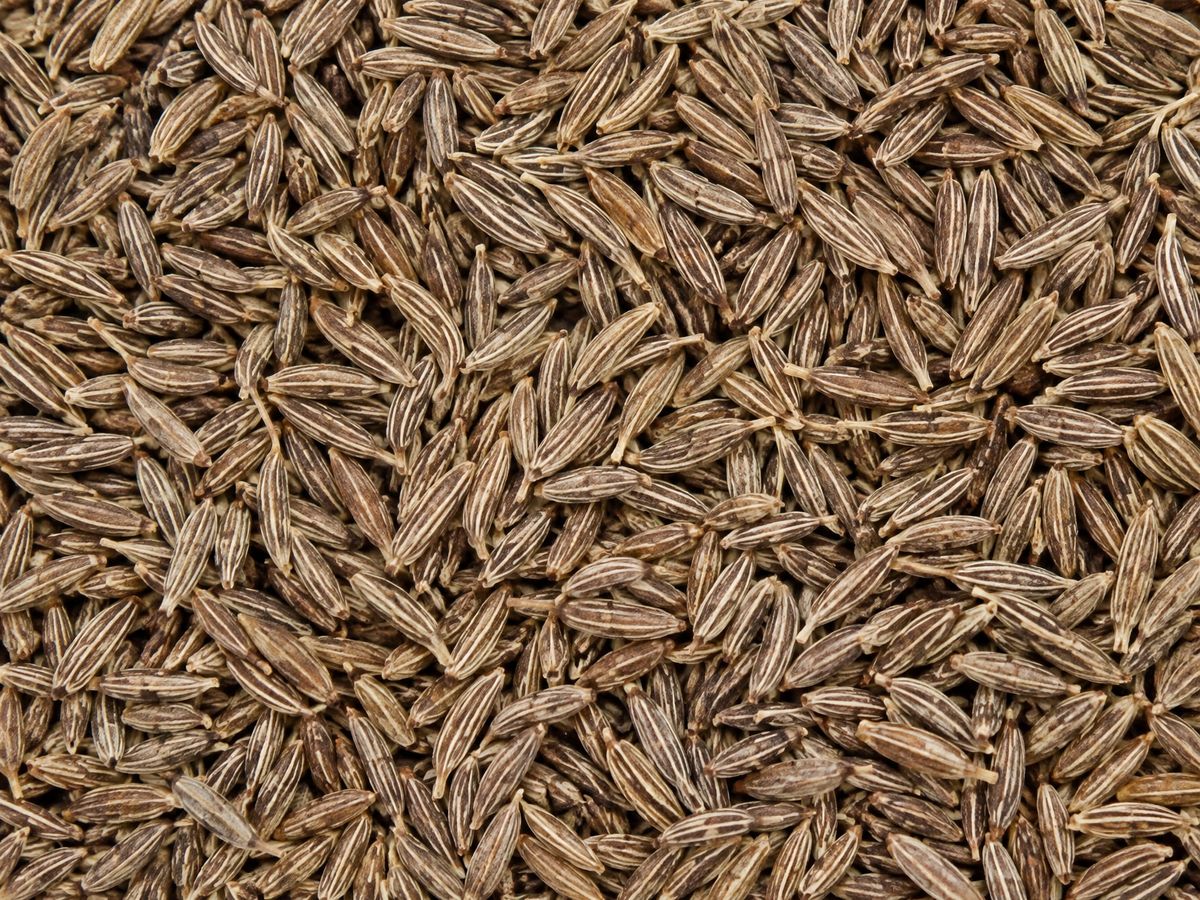 Close-up of whole cumin seeds