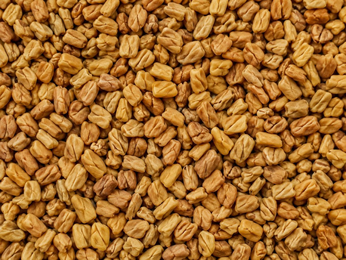 Whole fenugreek seeds filling the frame