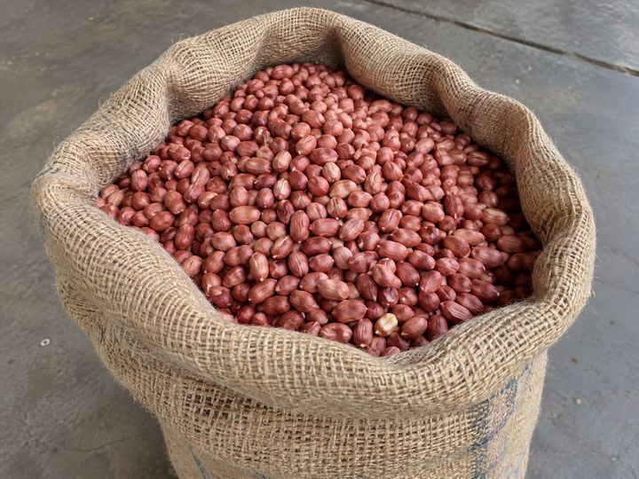 An open jute sack full of groundnut kernels