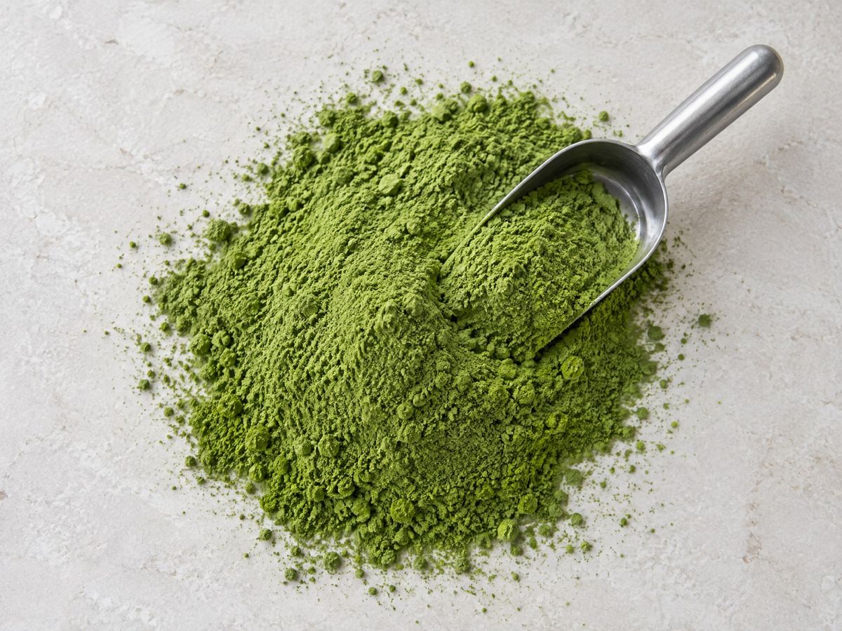 Fine green moringa leaf powder with a steel scoop