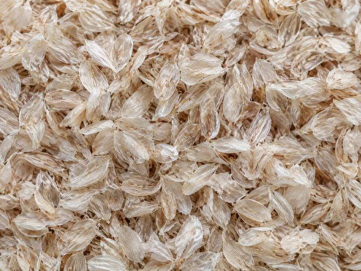 Psyllium husk flakes filling the frame