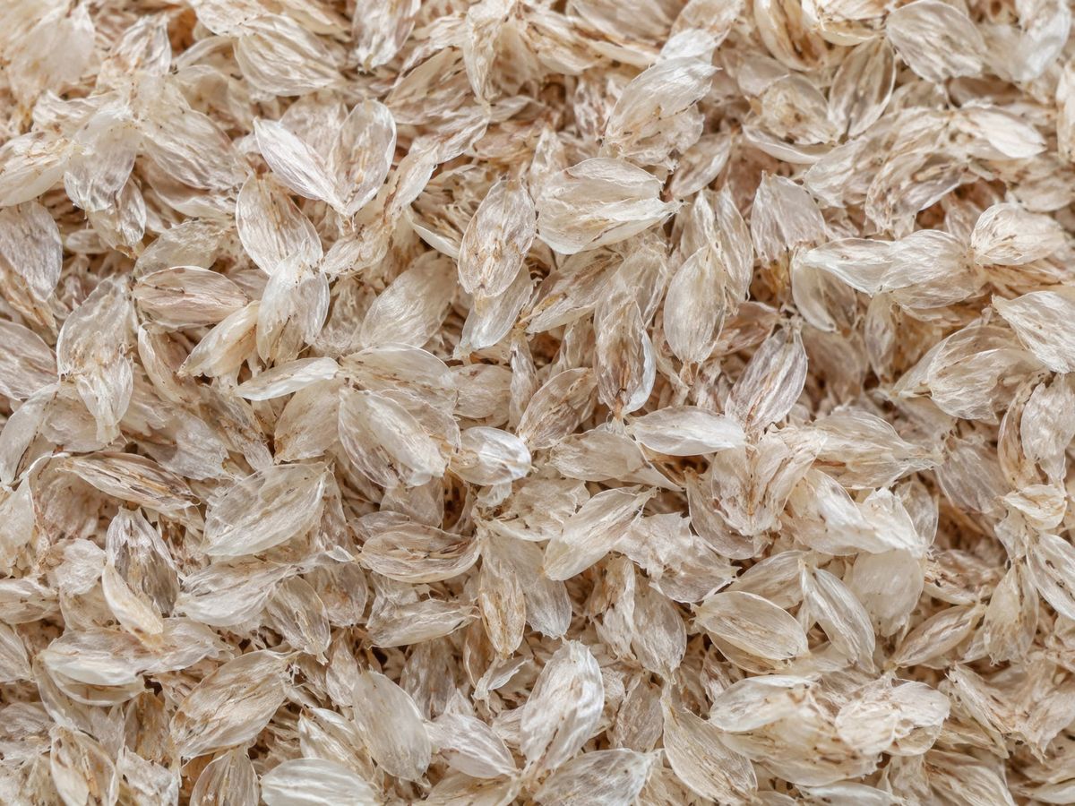 Psyllium husk flakes filling the frame